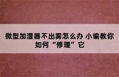 微型加湿器不出雾怎么办 小编教你如何“修理”它